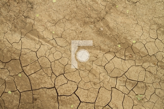 Dried Summer Sand Mud Texture - Drought Concept Free Image