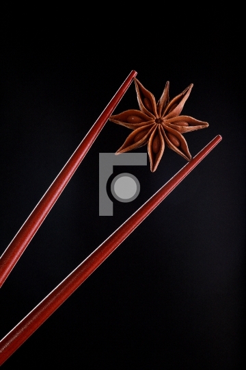 Free Photo Indian Spice or Herb Star Anise in a Chop Stick