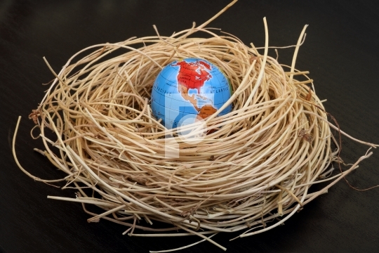Globe in a bird_qt_s nest