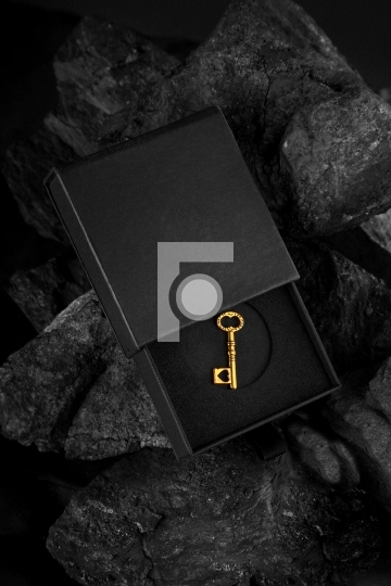 Golden Antique Key in a Black Box - Success Concept