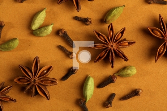 indian spices - cinnamon, cloves, star