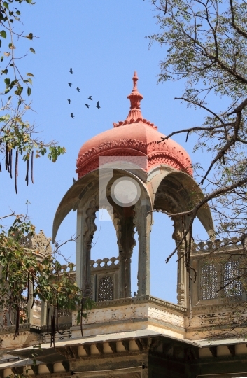 Rooftop Historical Architecture Arch in Udaipur, Rajasthan, Indi