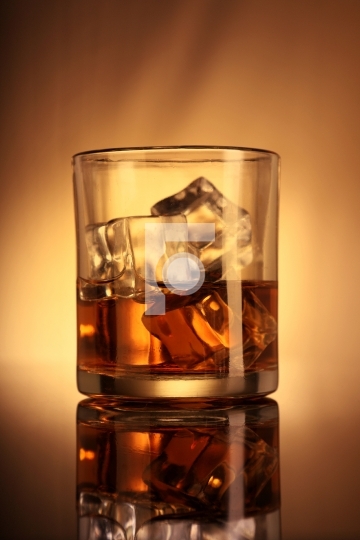 Single whiskey glass with ice cubes