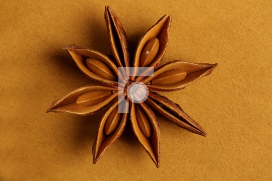 star shaped indian spice
