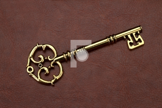 Vintage / Retro Golden Key on brown leather background