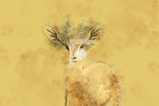 Wildlife Deer Digital Painting Free Stock Photo