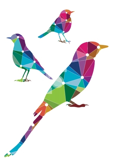 Abstract Colorful Bird Illustrations Vector Format