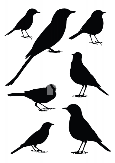 Birds Silhouette - 7 different vector illustrations