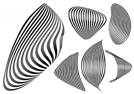 Black & White Abstract Zebra Lines Background Vector