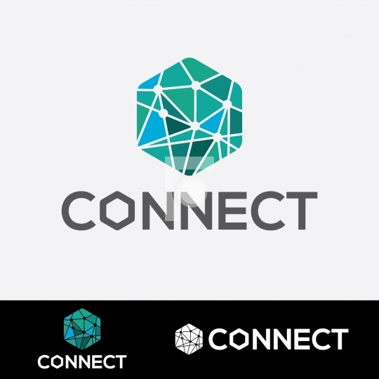 Connect Social Networking Logo - Readymade Company Logo Design T
