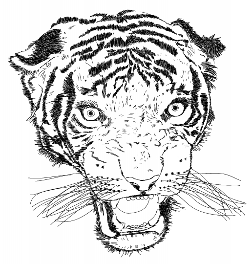 Detailed Tiger Face Vector Illustration - Handmade
