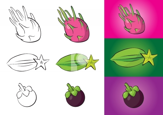 Exotic fruits illustrations - dragon fruit, carambola, mangostee