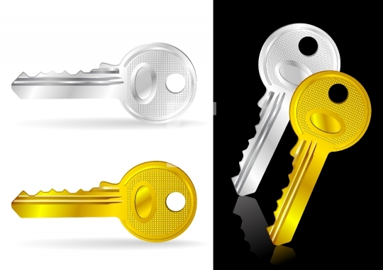 Golden and Silver Key - Vector Illustration