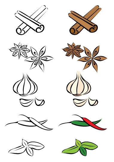Various spices vector illustration