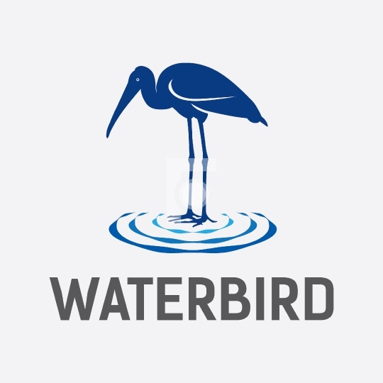 Water Bird Logo Royalty Free Stock Vector Template