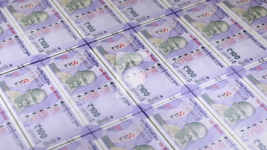 indian money 100 rupees bundles